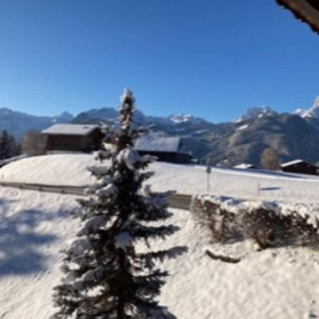 Chalet Soldanella 10 Guests Гстаад Екстериор снимка